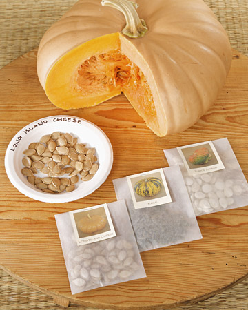 martha seed packets