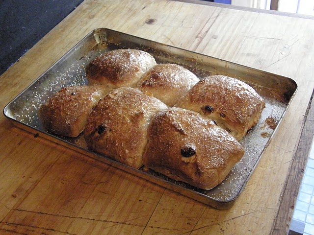 hot cross buns not