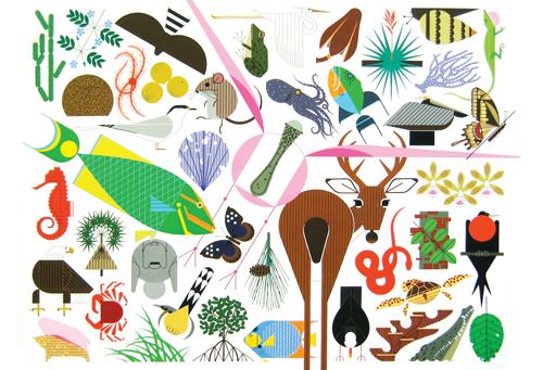 Animal Kingdom