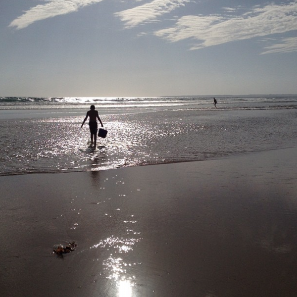venus bay