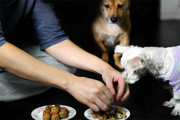lady and pups