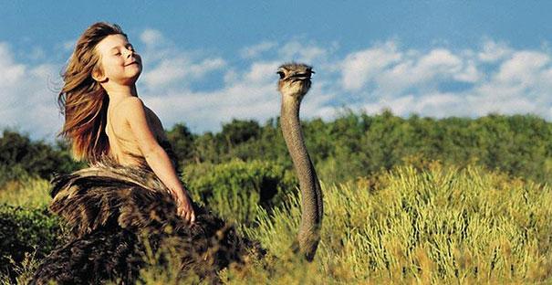 Tippi Degre