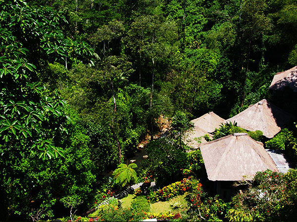 maya-river-cafe