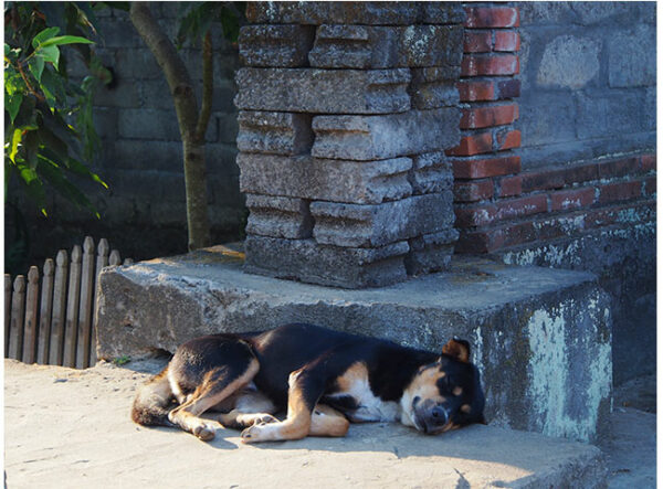 ubud-november-4