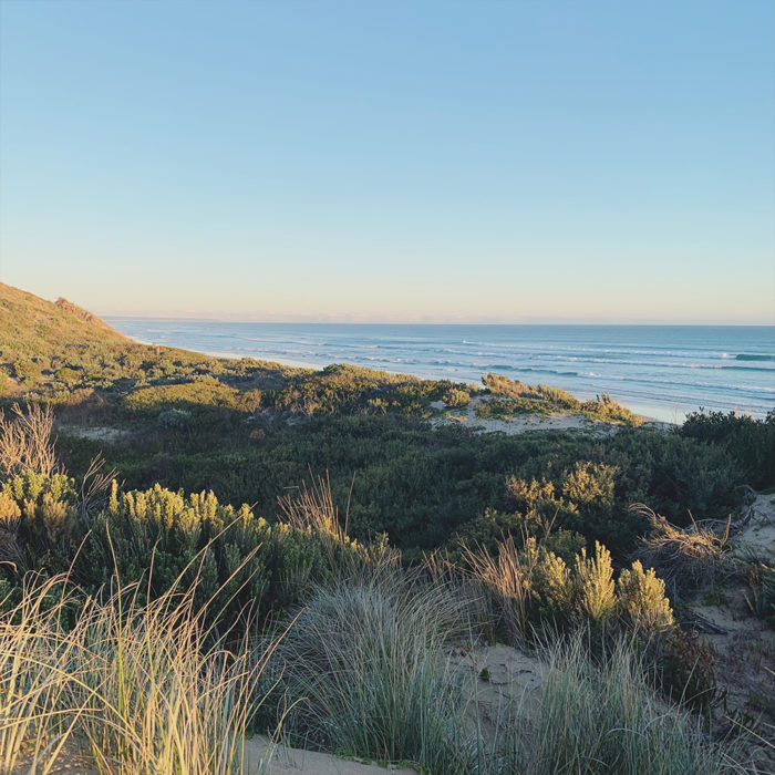 Pip at Venus Bay