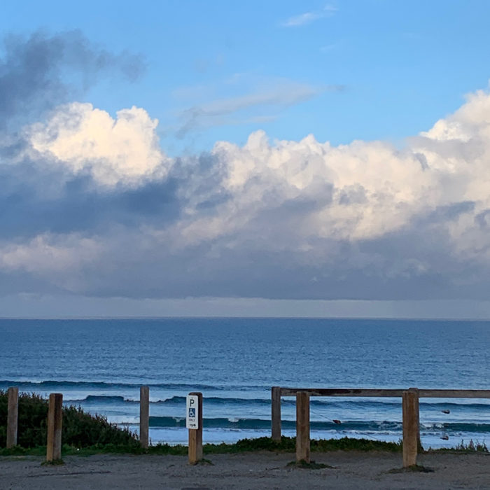Pip at Venus Bay