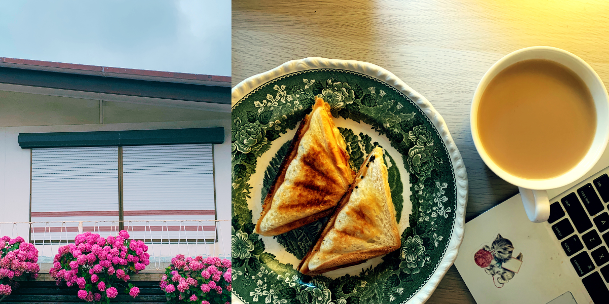 A 60s house frontage with pink hydrangea bushes + a JAFFLE on a green plate beside a big cup of tea