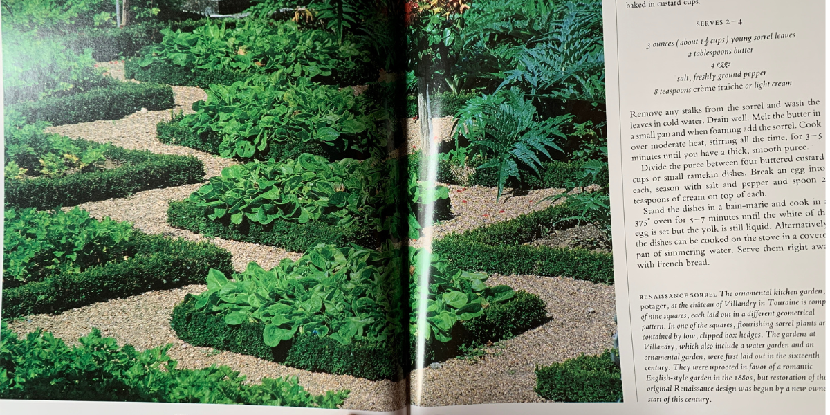 Photo of garden featured in pages of cookbook