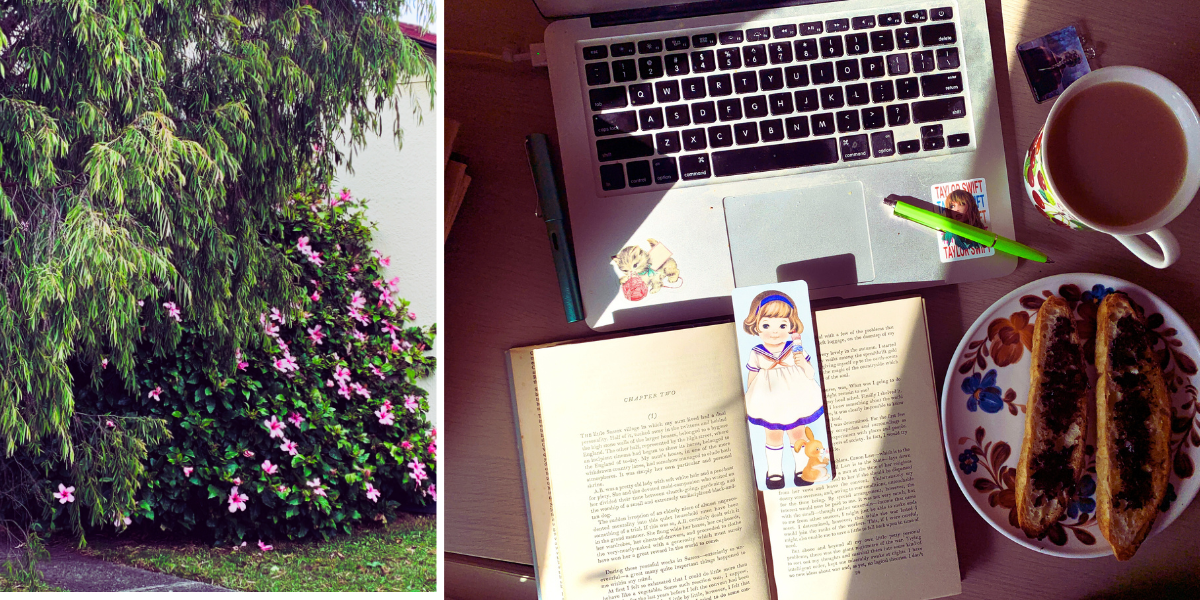 L/ Neighbourhood hibiscus r/ pip's laptop and desktop ephemera