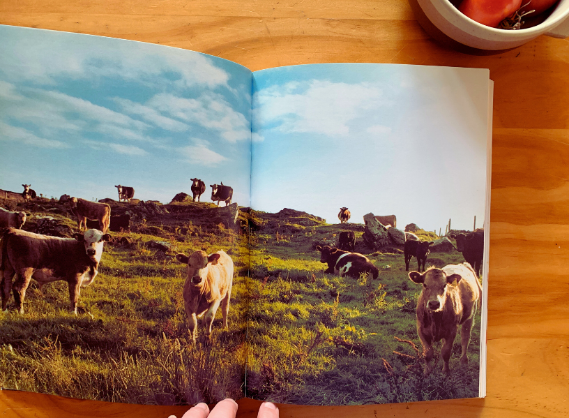 West of Ireland Summers by Tamasin Day-Lewis with photographer Simon Wheeler (published 1999)