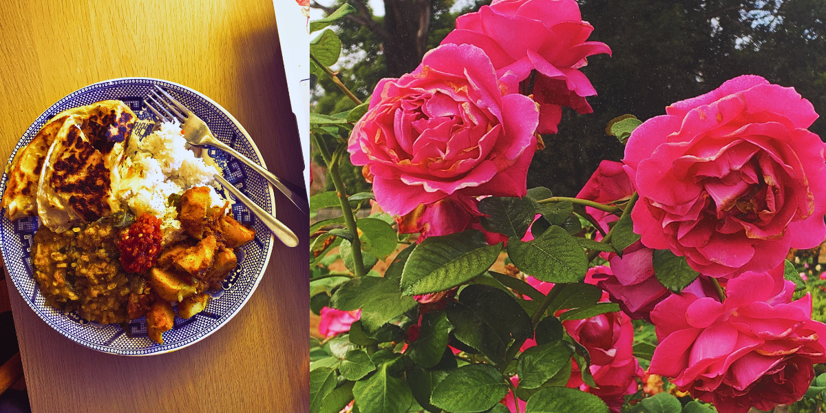L/ plate of curry and Dahl R/ pretty pink roses