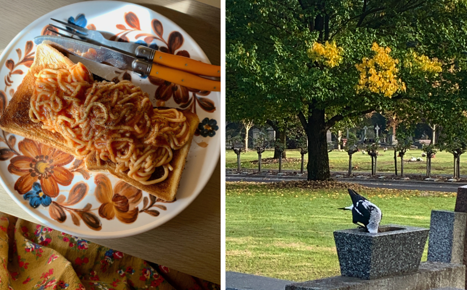 L/ Spaghetti on toast R/ scene of a magpie drinking at the cemetery