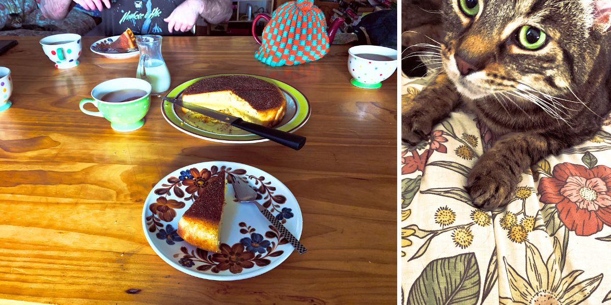 L/ people eating cake and drinking tea at a table R/ A green eyed tabby cat