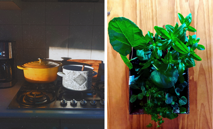 L/ Pots on the stove R/ box of seedlings from Bunnings