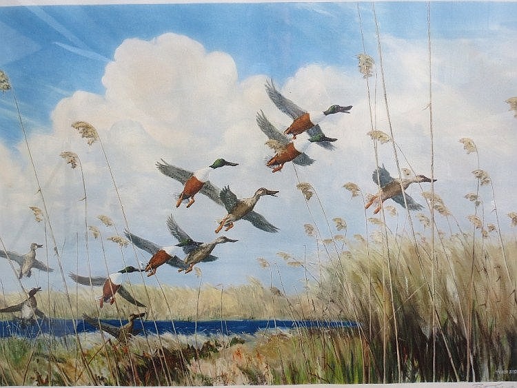Sir Peter Scott painting