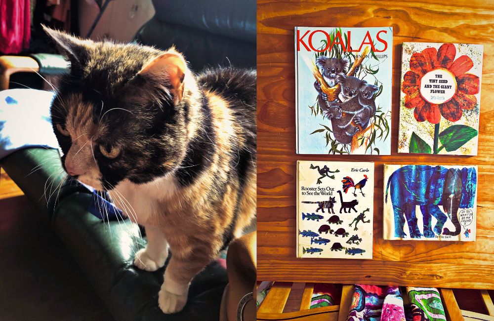 L/ Bea the cat R/ Op Shopped books for the baby
