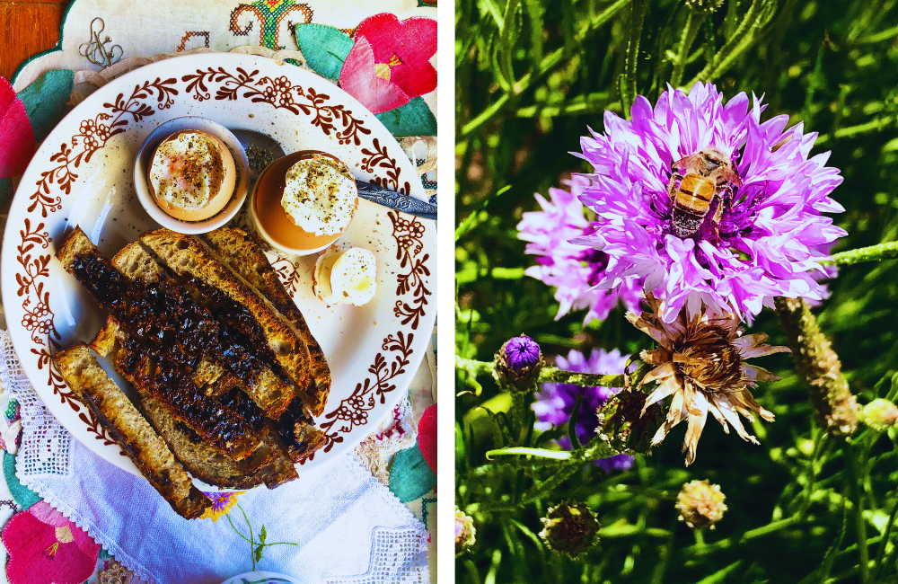 L/ Eggs for breakfast R/ Bee in the blooms