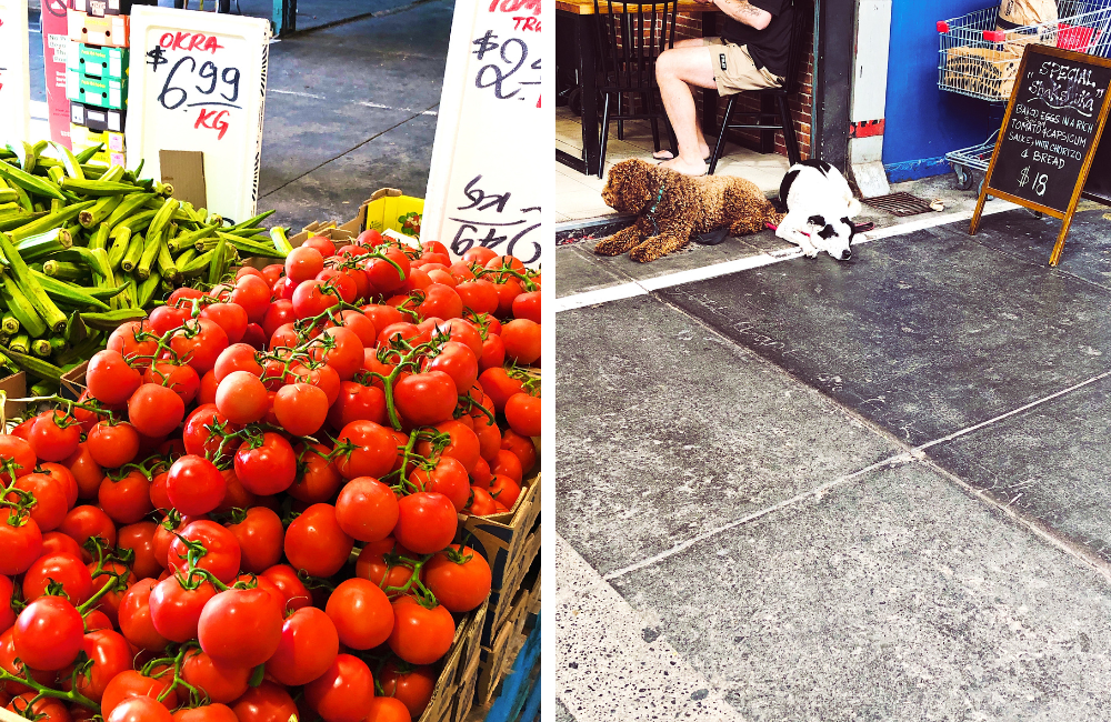 Preston Market