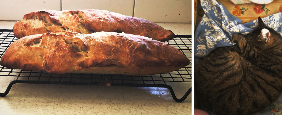 L/ Homemade baguettes R/ Chippy snoozing