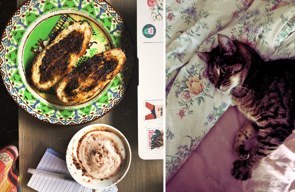 L/ toast and coffee R/ Chippy the cat