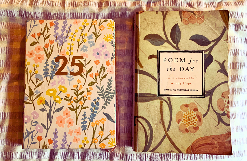 L/ 2025 Diary and R/ Poem for the Day op shopped book