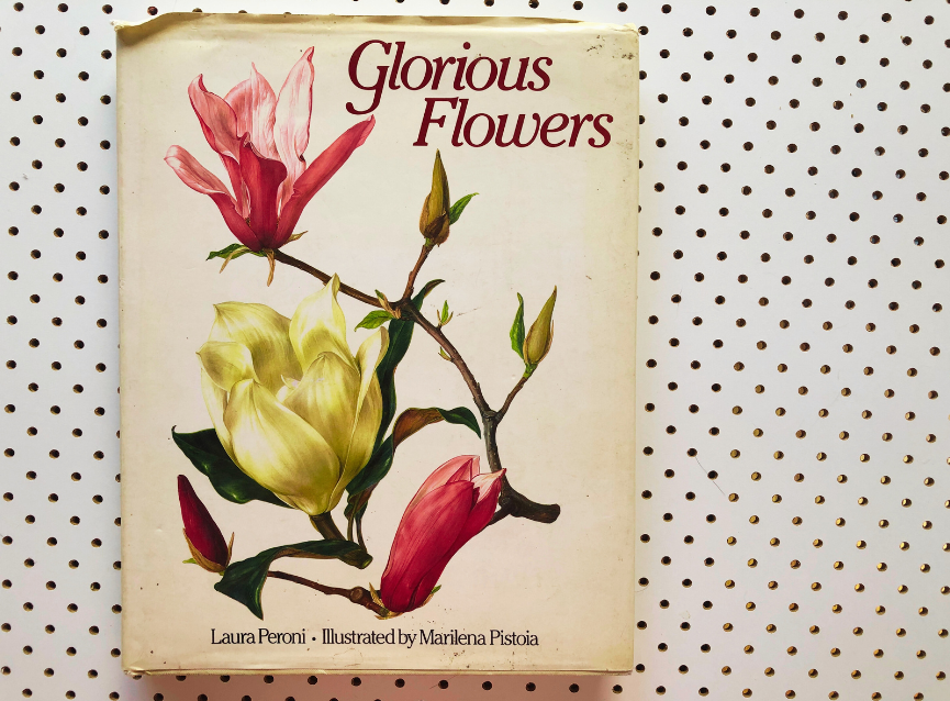 Glorious Flowers by Laura Peroni. Illustrated by Marilena Pistoia. (Cover)