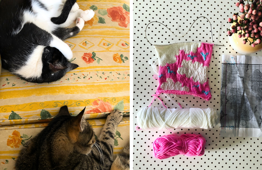 L/ Bruno (tuxy) and Chippy (tabby) R/ Baby knit in progress