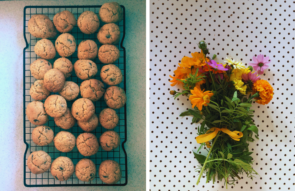 I made some choc chip cookies ... and grew some flowers for Rin and June