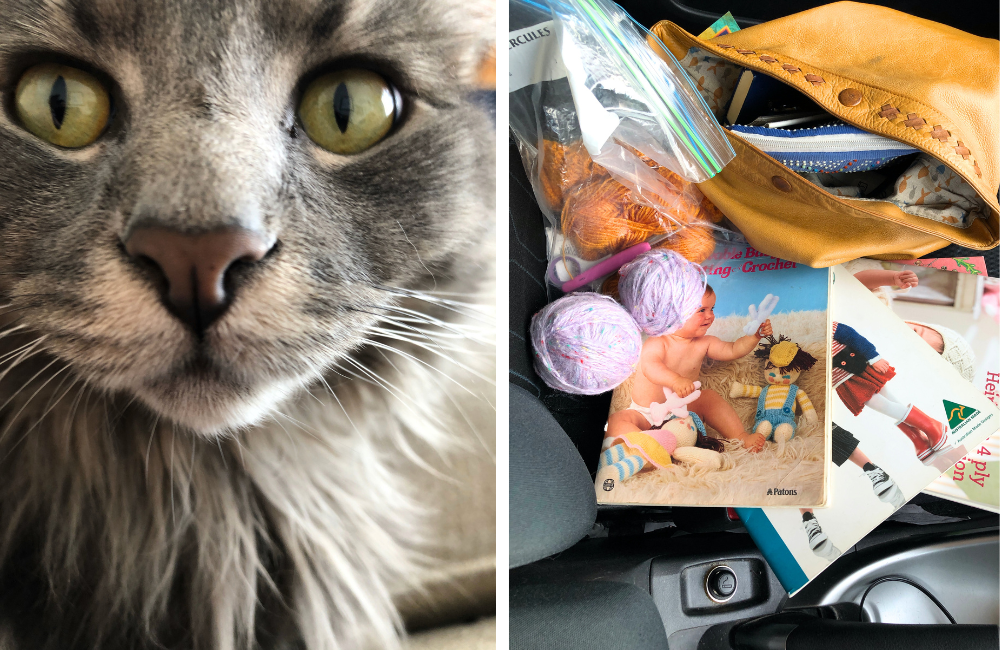 L/ Rin and Paul and June's cat - his name is Tony R/ on the road front seat op shop jumble