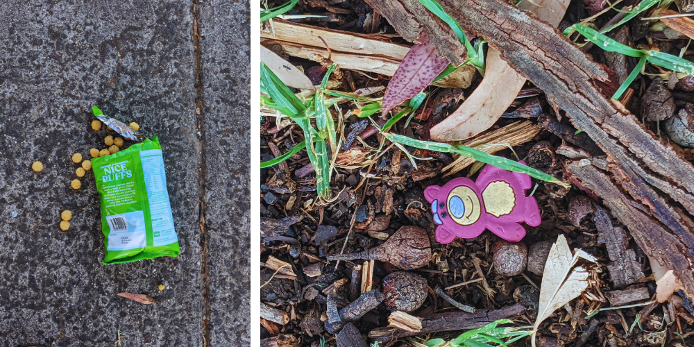Things spotted on a morning walk ...