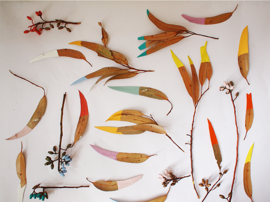 leaves