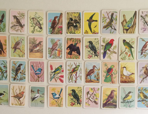 Bird Tea Cards