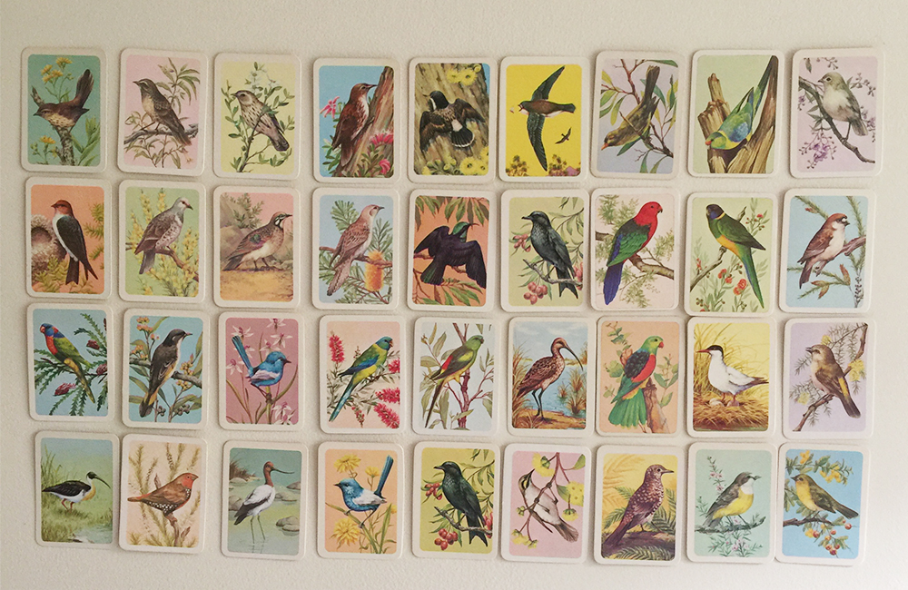 Bird Tea Cards