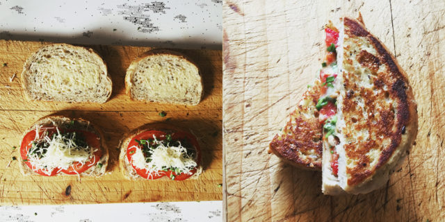 The best tomato and cheese sandwich