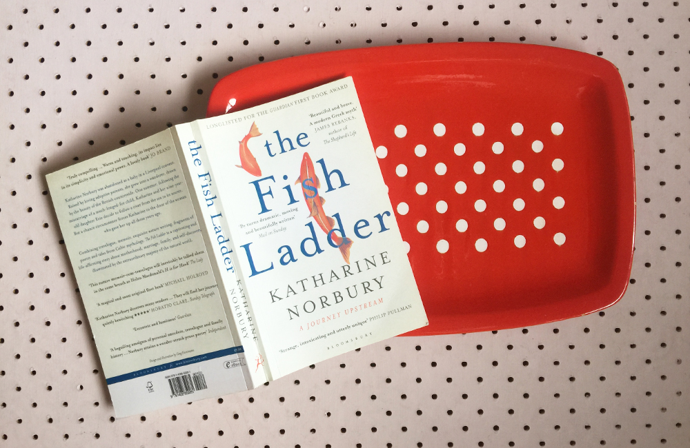 The Fish Ladder by Katharine Norbury