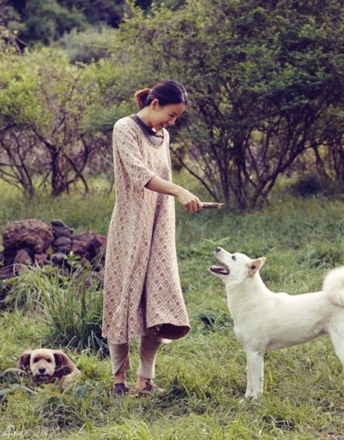 Hyori's bed and breakfast