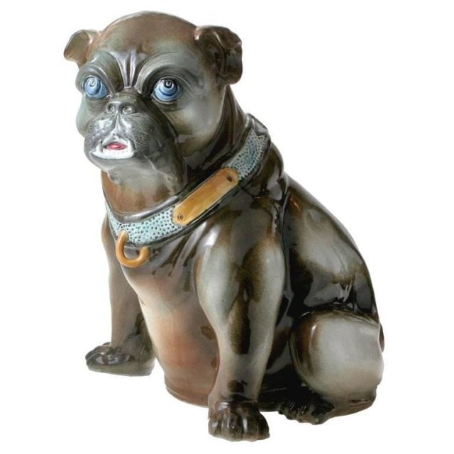 Startled bulldog