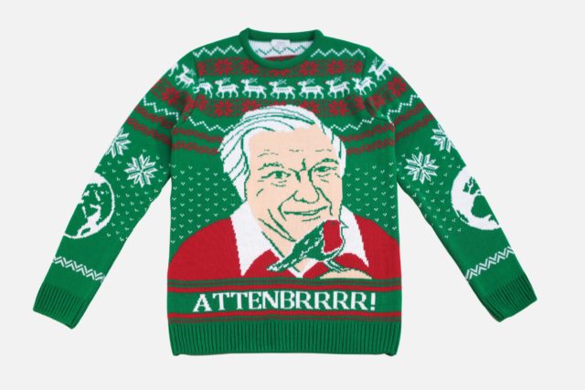 David Attenborough jumper