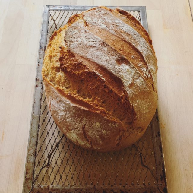 Pip's bread