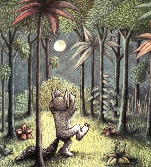 Wild Things via Sophie Dahl