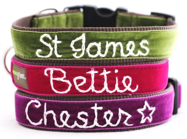 Velvet Dog Collar