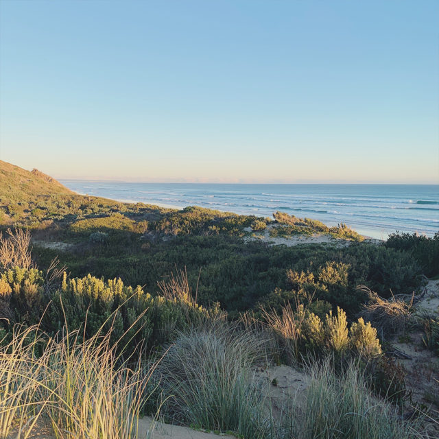 Pip at Venus Bay