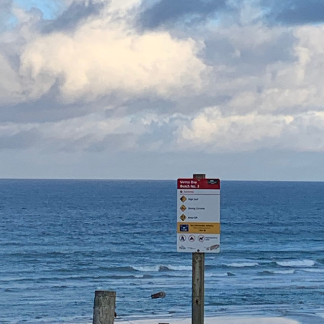 Pip at Venus Bay