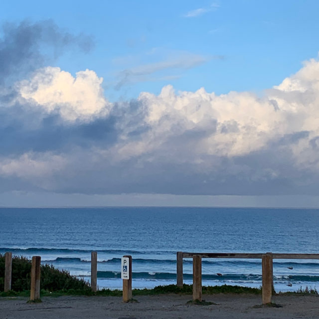 Pip at Venus Bay