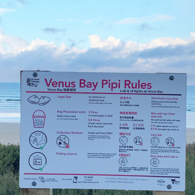Pip at Venus Bay