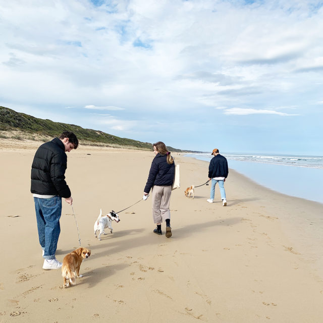 Pip at Venus Bay