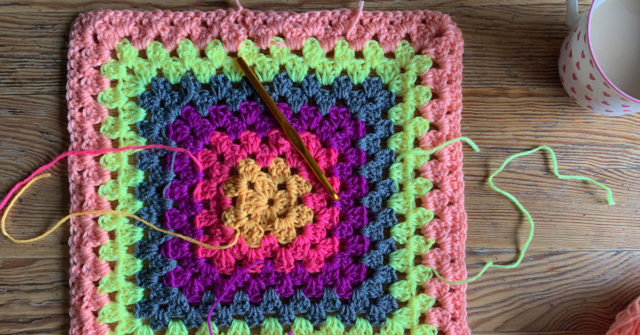 Hook and Look Pet Blanket