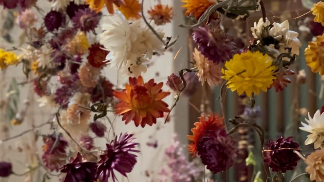 dried flowers strung in lengths from the ceiling to create a beautiful exhibit