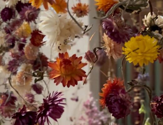 dried flowers strung in lengths from the ceiling to create a beautiful exhibit