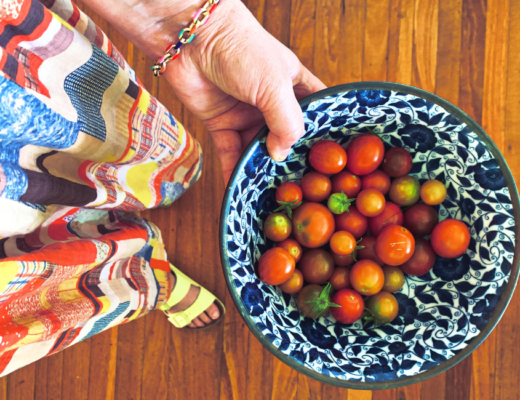 Tomato season in my garden